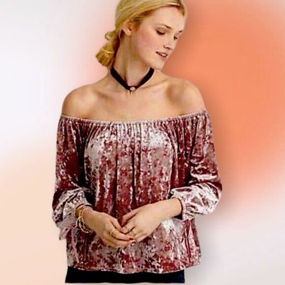 American Eagle Outfitters Mauve Crushed Velvet Cropped‎ Top XS - Picture 1 of 10